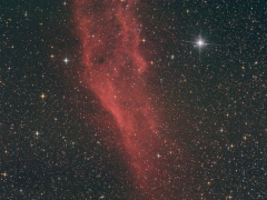 24/12/2013  NGC 1499  (California)  in Perseus